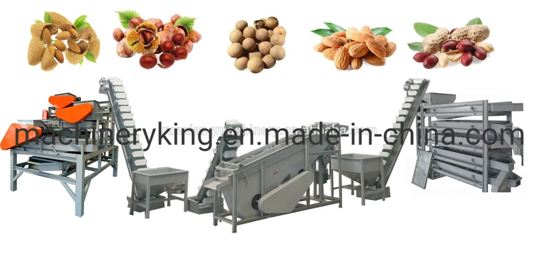 Nut Cracking Machine for Macadamia