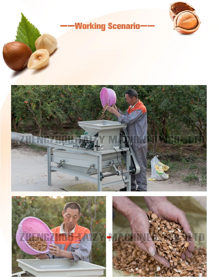 Commercial Walnut Nuts Breaker Pecan Almond Shelling Machine Hazelnut Cracking Machine