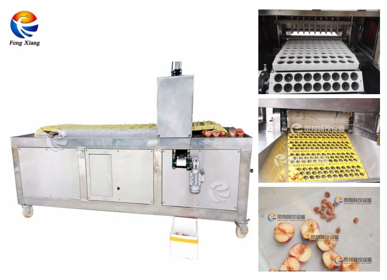 Automatic Fruit Avocado Peach Pit Stone Remover Pitting Pitter Machine