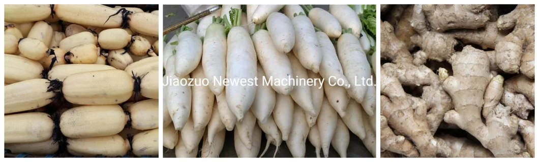 Large Capacity Brush Vegetable Cassava Washing Peeling Machine