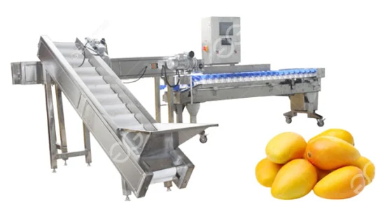 Edelstahl-Apfel-Orangen-Avocado-Birnen-Fruchtsortiermaschine Lebensmittelsortiermaschine Gewicht Obstsortiermaschine
