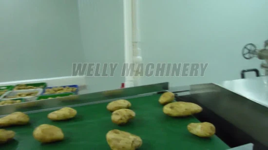 Chinesische Obst-Aprikosen-Pflaumen-Kernentfernungs- und Lochfraß-Verarbeitungsmaschine