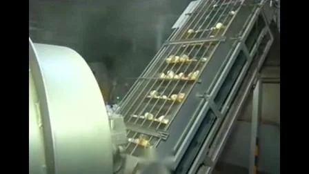 Verarbeitungslinien für Kartoffelchip-Maschinen Produktionslinie für 100 kg Kartoffelchips
