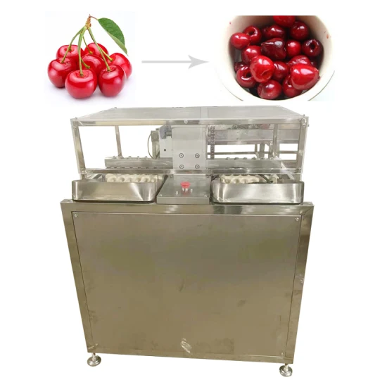 Automatische Litschi-Pflaumen-Kirsch-Jujube-Bayberry-Entkernungsmaschine, Bayberry-Frucht-Entsteinungsmaschine, Kernsteinentferner, Kirschkernentferner-Maschine
