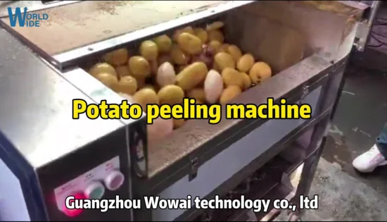Industrielle Roots-Gemüsewaschmaschine, Schäler, Polierer, Kartoffelwasch- und Schälpoliermaschine