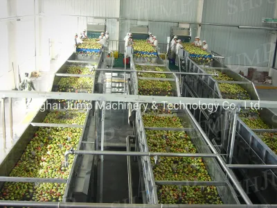 Wasch- und Sortiermaschinen für frisches Obst. Komplette Obstsortierlinienmaschinen mit hoher Geschwindigkeit und hervorragendem Betriebszustand