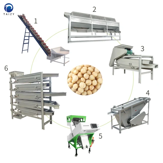 Industrielle Macadamia-Nussschalen-Schälmaschine, Walnuss-Mandel-Nüsse-Knackmaschine
