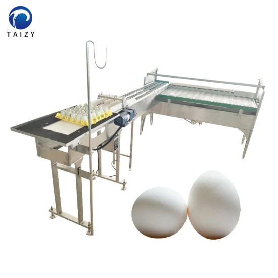 Hochwertige Eiersortiermaschine, Vakuum-Eierheber, Eierwaage, Sortierer, Sortierer, Eierkerzenmaschine