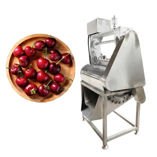 Kleinformatige Maschine zum Entfernen von Fruchtkernen, Datteln, Äpfeln, Birnen, Aprikosen, Kirschen, Datteln und Oliven
