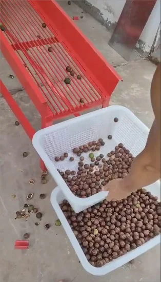 Fabrikversorgung 5000 kg/h Automatische Schälmaschine für die Verarbeitung grüner Macadamia-Nüsse