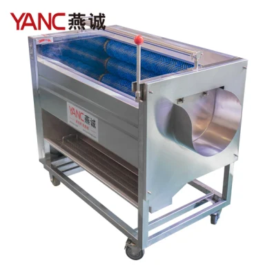 Yc-X1000-7 Bürstenwalze Kartoffelwurzelgemüse Reinigungs- und Schälmaschine