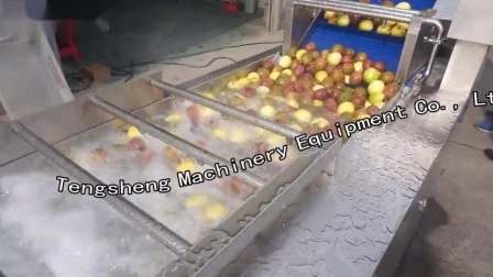 Automatische Größensortiermaschine für Gemüse, Obst, Äpfel, Ts-Fs250