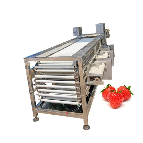 Fabrikpreis Kommerzielle automatische Longan Lychee Corer Tomatensortiermaschine für Obst
