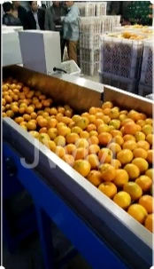 Automatische Obst-Apfel-Avocado-Zitronen-Orangen-Pfirsich-Sortiermaschine