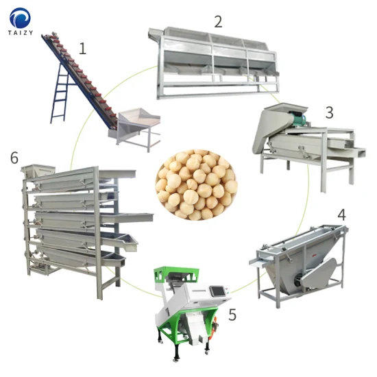 Maschine zum Knacken von Macadamia-Nüssen. Knackmaschine für Pistazien